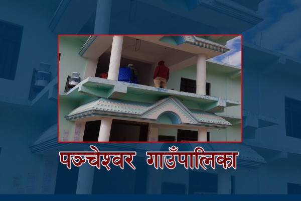 बैतडीको पञ्चेश्वर गाउँपालिकाले  हिउँदे फलफूलका विरुवा वितरण गर्ने 